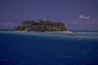 P0100656.jpg