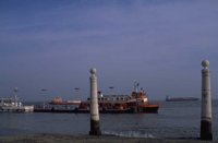 P0100590.jpg