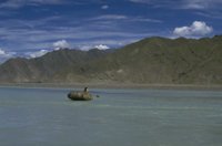 P0100452.jpg