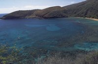 P0100434.jpg