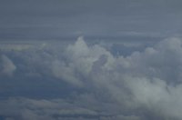 P0100390.jpg
