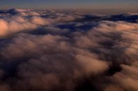 P0100380.jpg