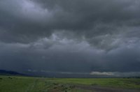 P0100354.jpg