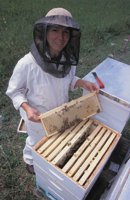 010712_0845_0069_nsls.jpg