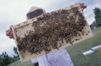 010712_0845_0066_nsls.jpg