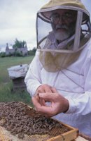 010712_0845_0063_nsls.jpg
