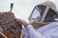 010712_0845_0061_nsls.jpg