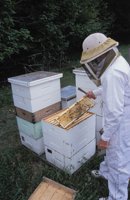 010712_0845_0060_nsls.jpg