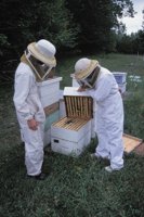 010712_0845_0059_nsls.jpg