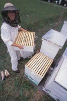 010712_0845_0058_nsls.jpg