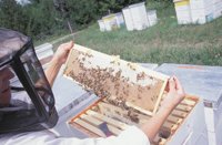 010712_0845_0057_nsls.jpg
