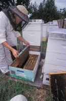 010712_0845_0056_nsls.jpg