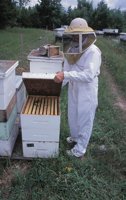 010712_0845_0048_nsls.jpg