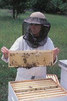 010712_0845_0045_nsls.jpg