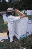 010712_0845_0044_nsls.jpg