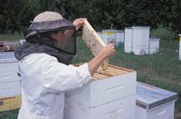010712_0845_0042_nsls.jpg