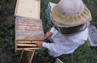 010712_0845_0039_nsls.jpg
