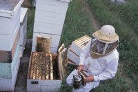 010712_0845_0032_nsls.jpg