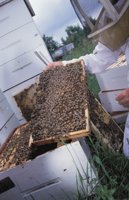 010712_0845_0030_nsls.jpg