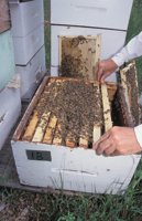 010712_0845_0029_nsls.jpg