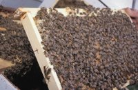 010712_0845_0027_nsls.jpg