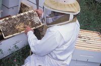 010712_0845_0024_nsls.jpg