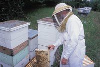 010712_0845_0023_nsls.jpg