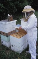010712_0845_0021_nsls.jpg