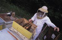 010712_0845_0019_nsls.jpg