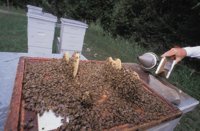 010712_0845_0016_nsls.jpg