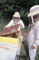 010712_0845_0012_nsls.jpg