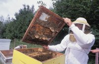 010712_0845_0011_nsls.jpg