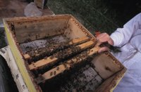 010712_0845_0003_nsls.jpg