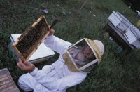 010712_0845_0002_nsls.jpg