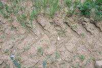 010709_0842_0076_nsls.jpg