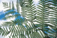010709_0842_0026_nsls.jpg
