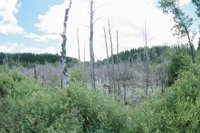 010709_0842_0012_nsls.jpg