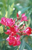 010704_0832_0625_nsls.jpg