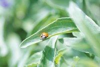 010704_0832_0618_nsls.jpg