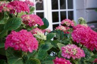 010704_0832_0388_nsls.jpg