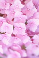 010704_0832_0380_nsls.jpg