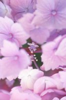 010704_0832_0379_nsls.jpg