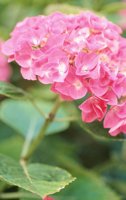 010704_0832_0376_nsls.jpg