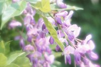 010704_0832_0179_nsls.jpg