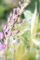 010704_0832_0178_nsls.jpg