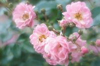 010704_0832_0171_nsls.jpg