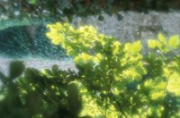 010704_0832_0161_nsls.jpg