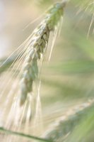 010704_0832_0119_nsls.jpg