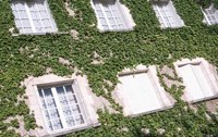010704_0832_0110_nsls.jpg