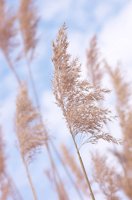 010618_0810_0011_lsls.jpg